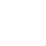 The image is completely blank with a white background, showing no identifiable objects or features.