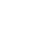The image is completely blank with a white background. There are no discernible objects or features present.